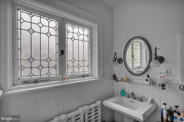 bathroom with ornamental molding and sink