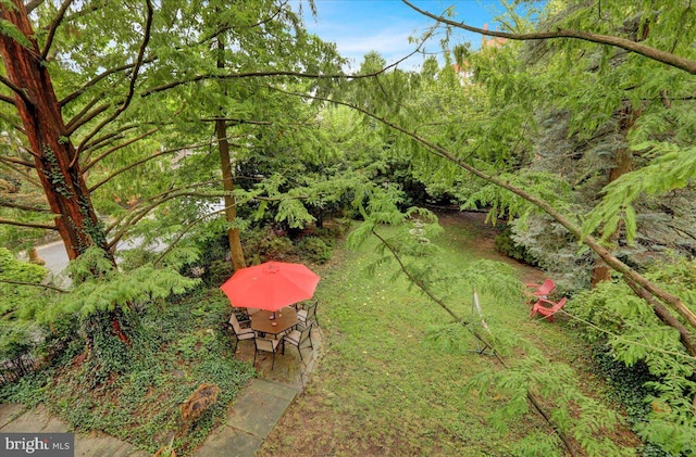 view of yard featuring a patio area