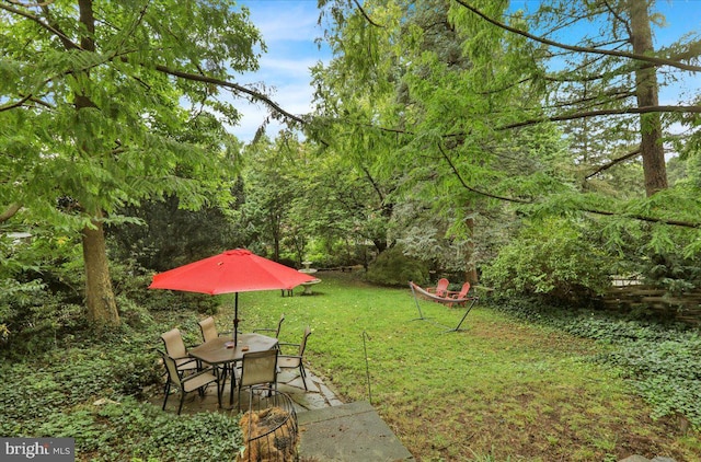 view of yard featuring a patio area