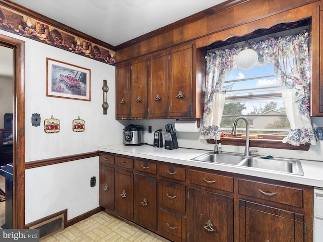 kitchen with dishwasher, dark brown cabinetry, and sink