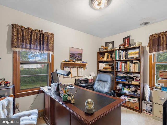 office with light carpet and a healthy amount of sunlight