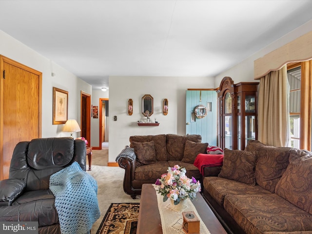 living room with carpet