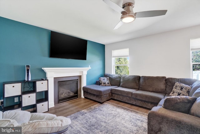 living room with ceiling fan, hardwood / wood-style flooring, and plenty of natural light