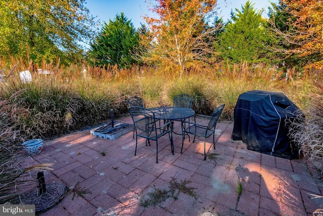 view of patio with area for grilling and outdoor dining area