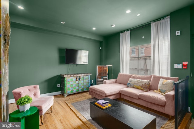 living room with wood-type flooring