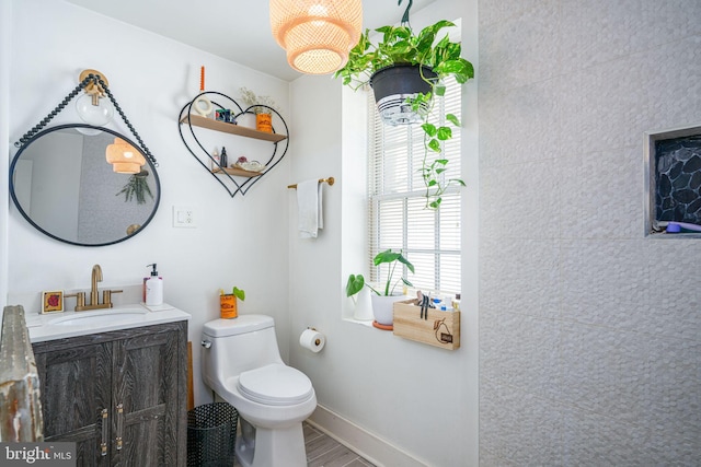 bathroom featuring vanity, toilet, and hardwood / wood-style flooring