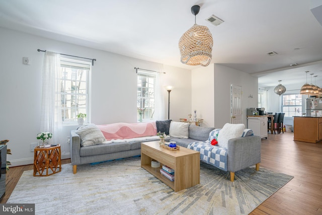 living room featuring wood-type flooring