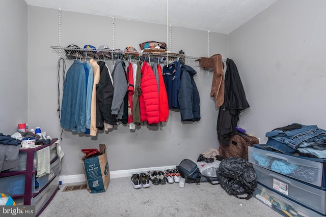 walk in closet with carpet floors