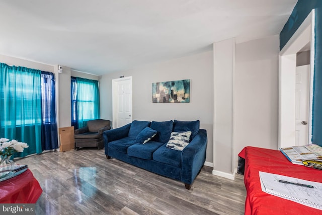 living room with hardwood / wood-style floors