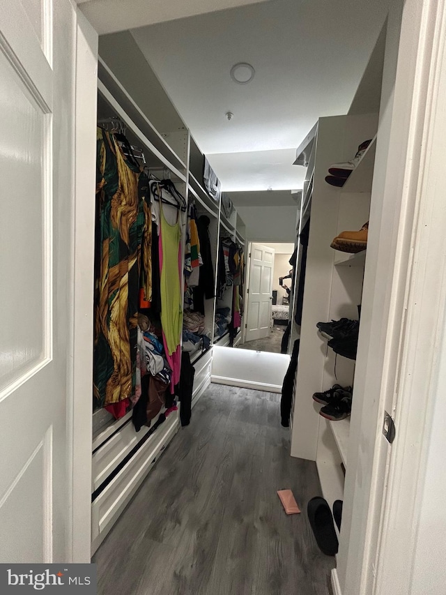 spacious closet with dark hardwood / wood-style flooring