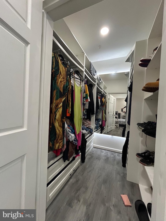 spacious closet with dark hardwood / wood-style flooring