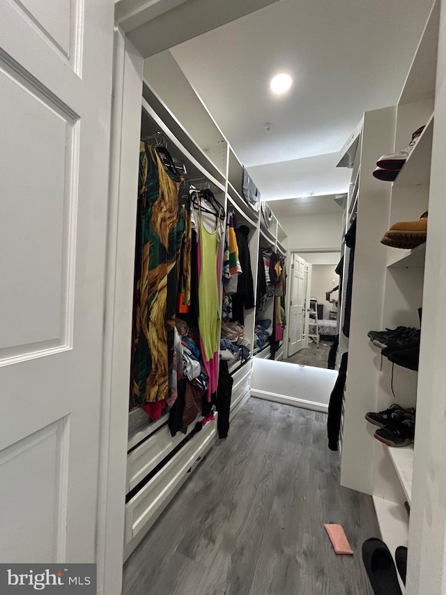 walk in closet featuring wood finished floors