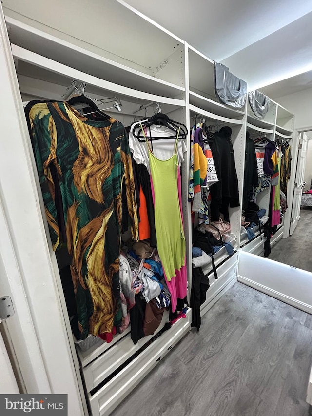 walk in closet featuring hardwood / wood-style floors