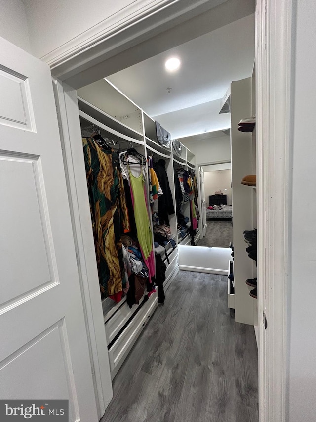 walk in closet with dark hardwood / wood-style flooring