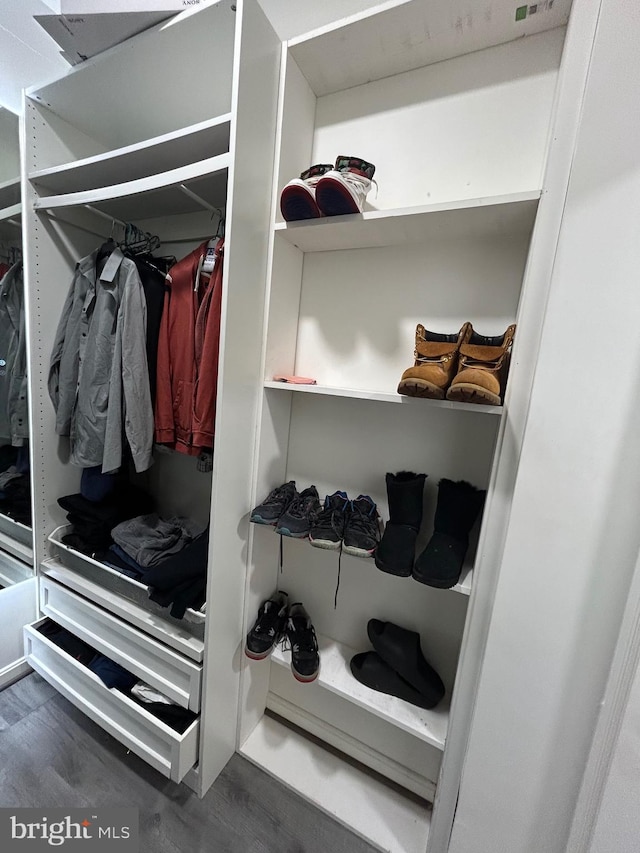 view of closet