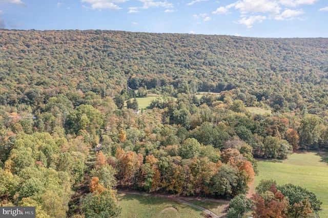 bird's eye view