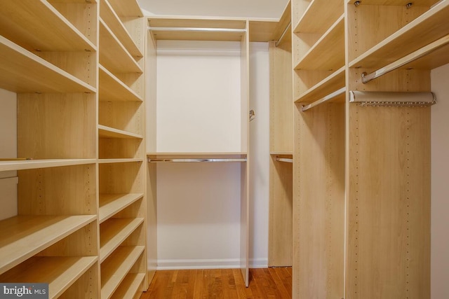 walk in closet featuring wood-type flooring