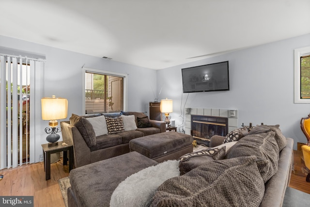 living room featuring wood-type flooring and a fireplace