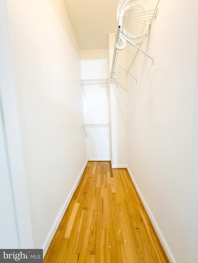 walk in closet with hardwood / wood-style flooring