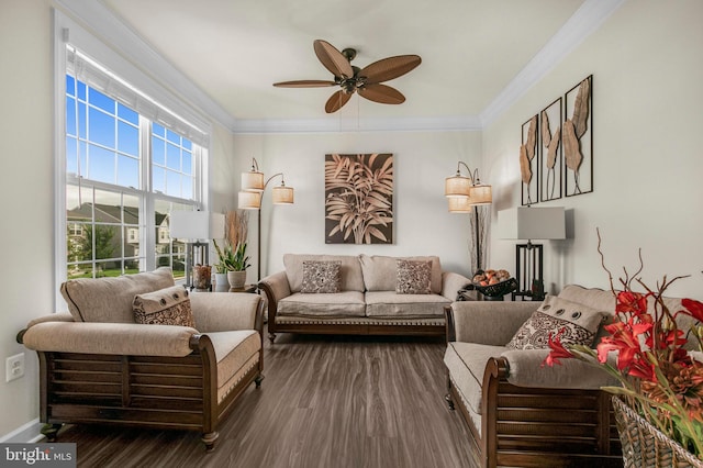 interior space featuring ornamental molding, ceiling fan, and dark hardwood / wood-style flooring