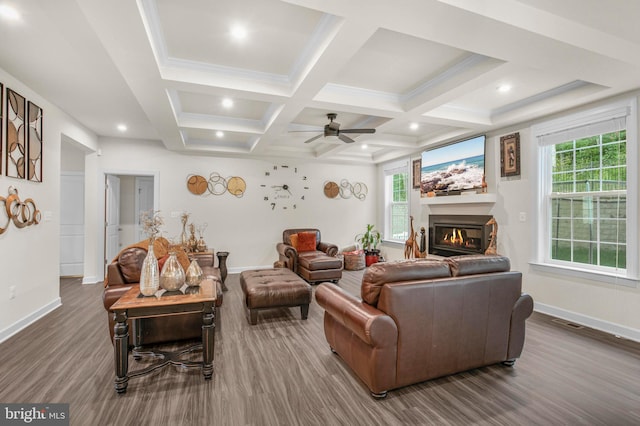 living room featuring ceiling fan, coffered ceiling, beamed ceiling, ornamental molding, and dark hardwood / wood-style floors