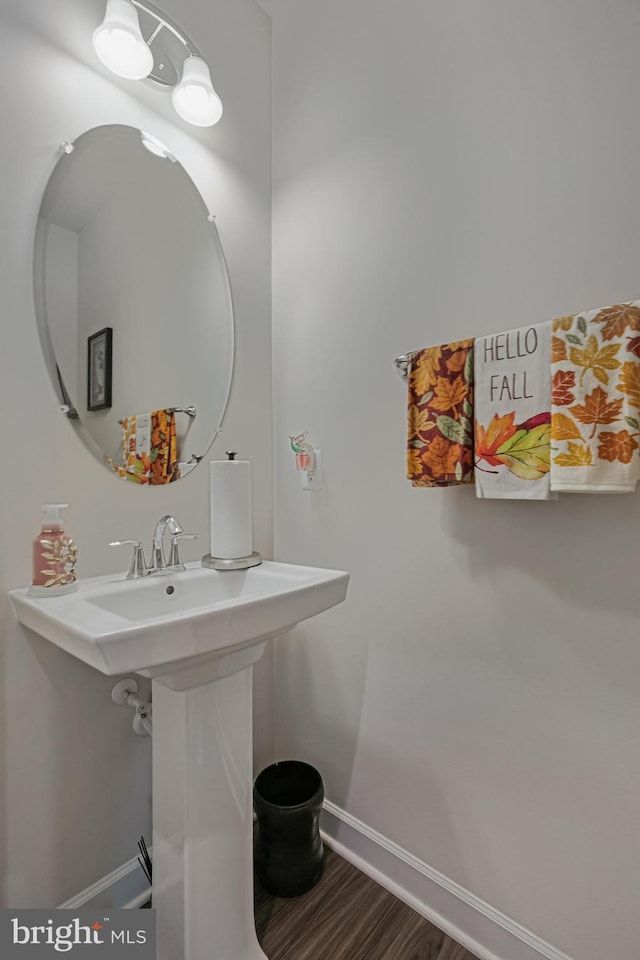 bathroom featuring wood-type flooring