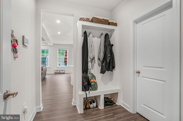 mudroom featuring dark hardwood / wood-style flooring