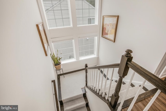 staircase with a wealth of natural light and hardwood / wood-style floors