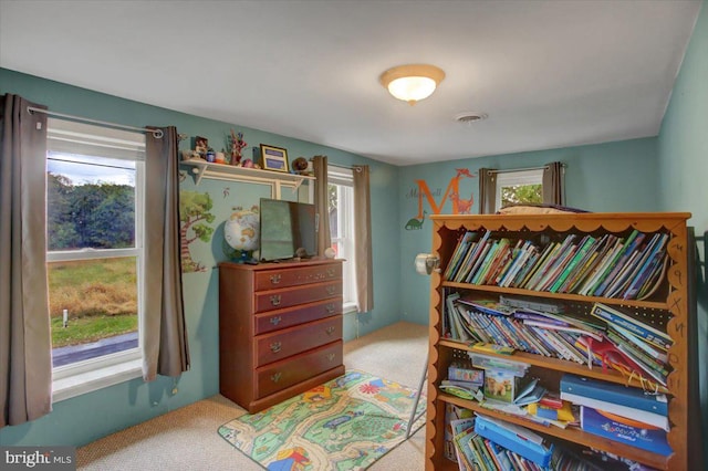 interior space featuring light colored carpet and a healthy amount of sunlight