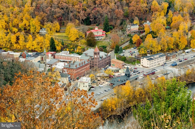 bird's eye view