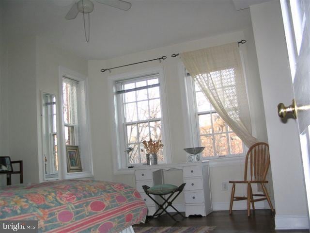 bedroom with dark wood-type flooring, multiple windows, and ceiling fan