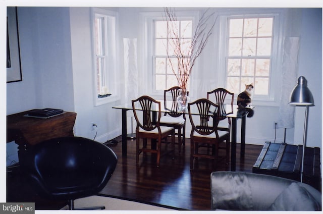 dining space featuring dark hardwood / wood-style flooring