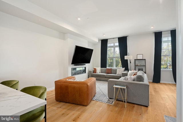 living room featuring light hardwood / wood-style floors