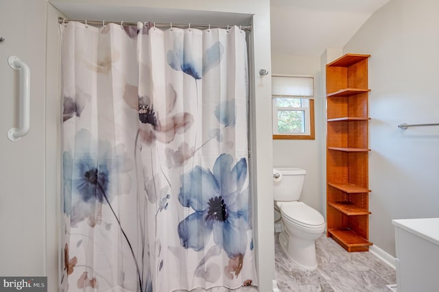 bathroom featuring vanity, toilet, and a shower with curtain