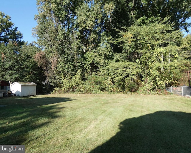 view of yard with a shed