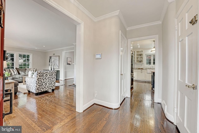 hallway featuring hardwood / wood-style flooring and crown molding