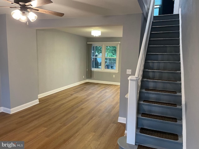 stairway featuring wood-type flooring and ceiling fan