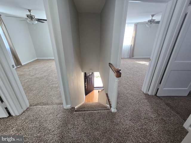 staircase featuring ceiling fan, a healthy amount of sunlight, and carpet floors