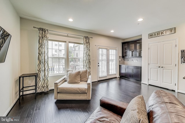 living room featuring dark wood-type flooring