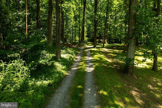 view of road