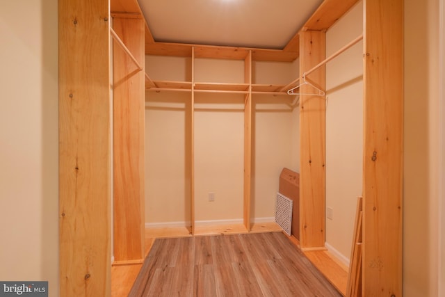 spacious closet with hardwood / wood-style floors