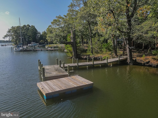 dock area with a water view