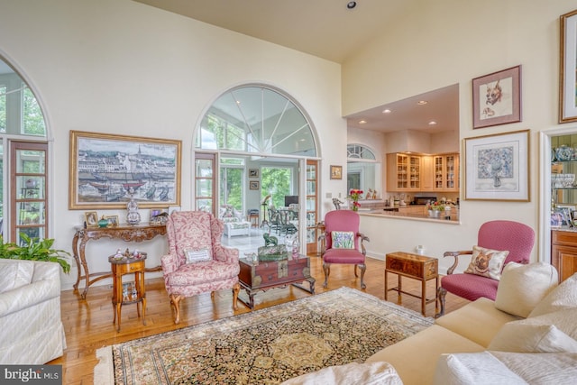 living room featuring a towering ceiling and light hardwood / wood-style floors