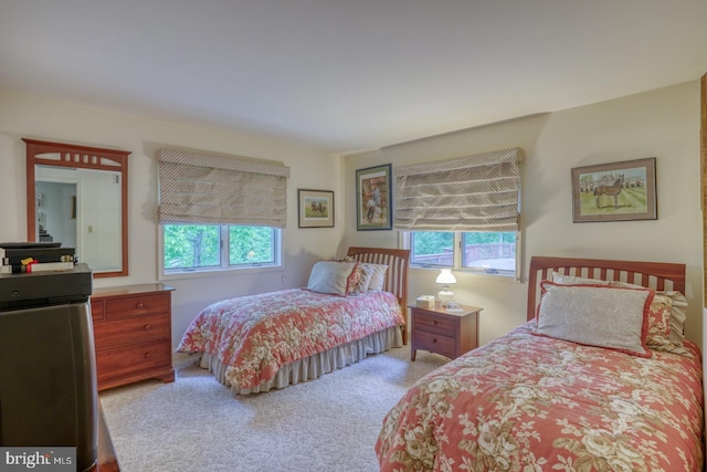 bedroom featuring light carpet and multiple windows