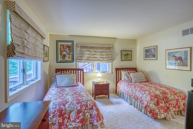 bedroom with carpet flooring and multiple windows