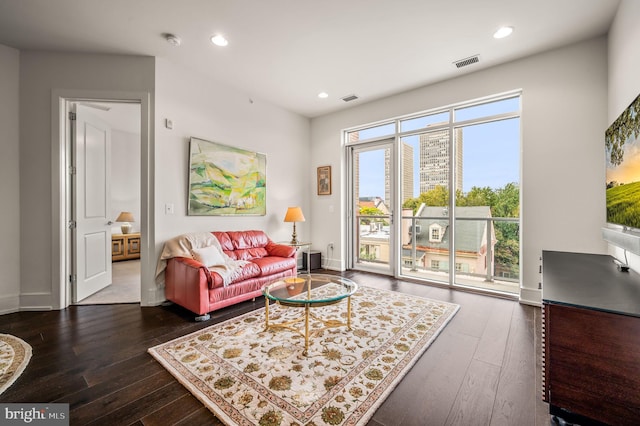 living room with dark hardwood / wood-style flooring