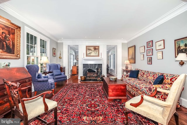 living room featuring crown molding, wood-type flooring, and a fireplace