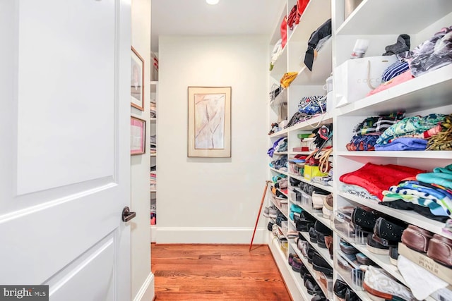 walk in closet with light wood-type flooring