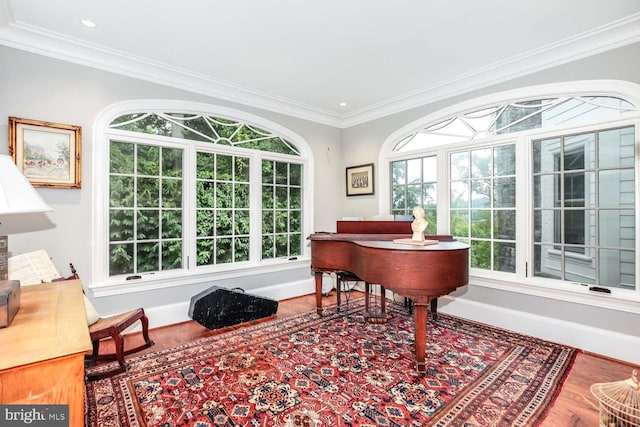 misc room featuring ornamental molding, a healthy amount of sunlight, and hardwood / wood-style flooring