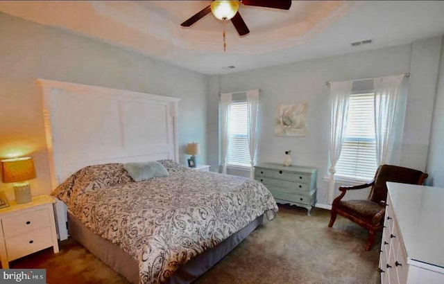 carpeted bedroom featuring a raised ceiling and ceiling fan